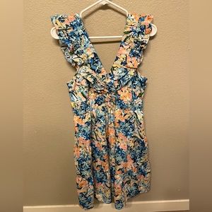 Abercrombie & Fitch V Neck Floral Dress